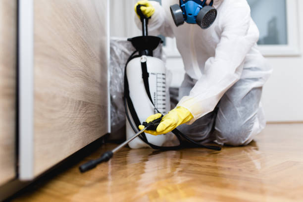 Best Wildlife Control Services  in Owingsville, KY
