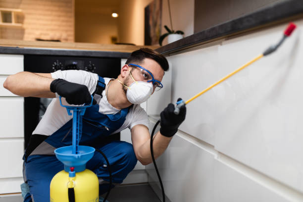 Best Flea Control Services  in Owingsville, KY