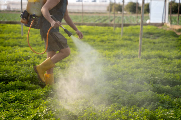 Best Pest Removal Services  in Owingsville, KY