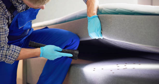 Best Best Pest Control Companies  in Owingsville, KY